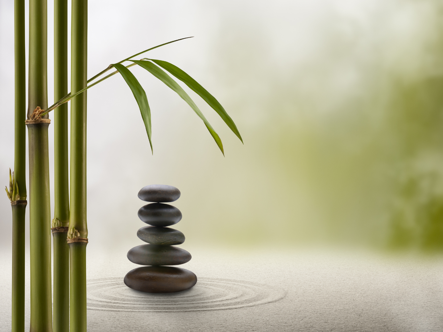 Tranquil photo of some bamboo and a stack of balanced pebbles on some sand